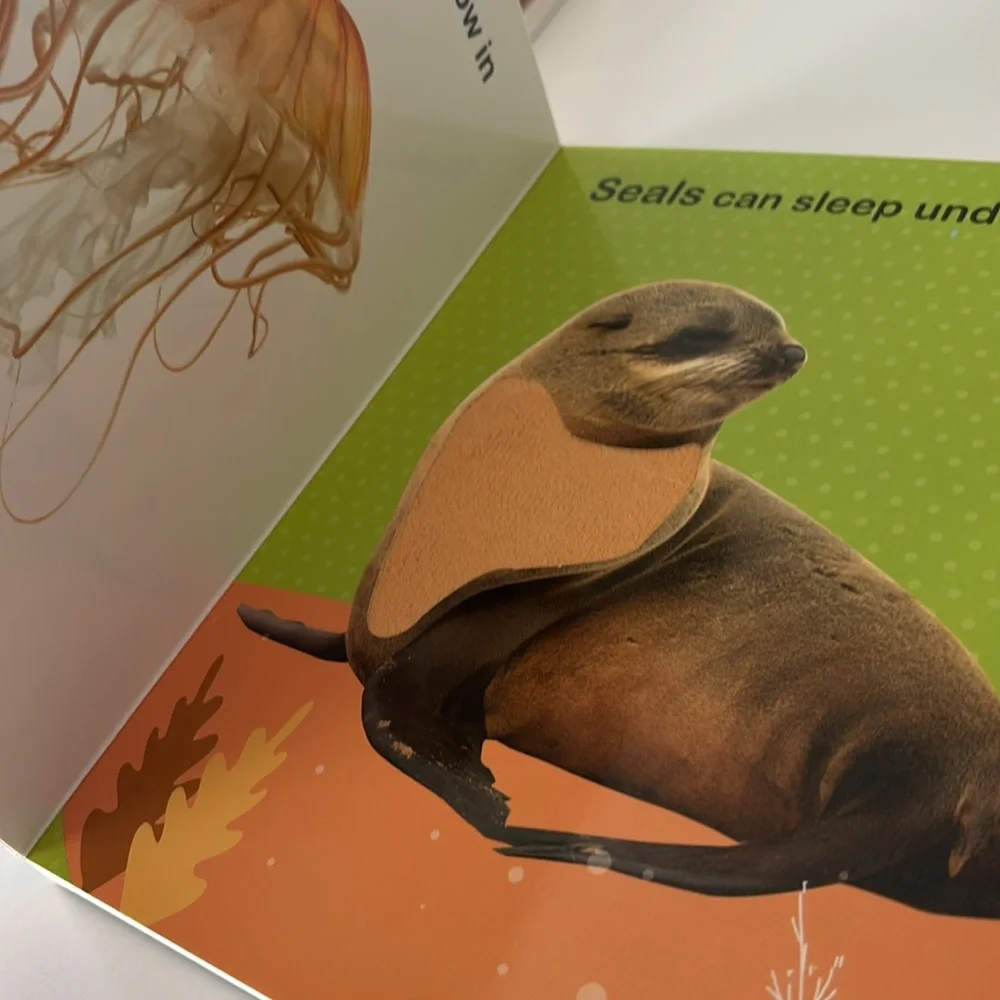 Series Books by Vision St. Publishing Adorable Animals  and Sea Animals